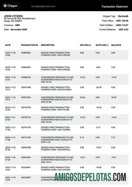 Declaração de transação do chipper da Nigéria para impressão, modelo Word e PDF